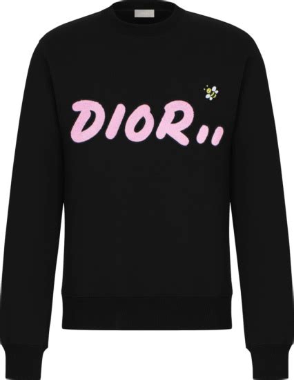 kaws x dior bee|Dior x KAWS sweater.